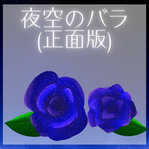 夜空のバラ2