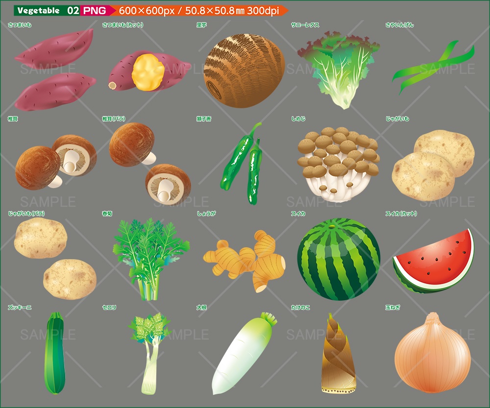 vegetableイラスト素材【JPG・PNG】メジャー野菜のイラスト