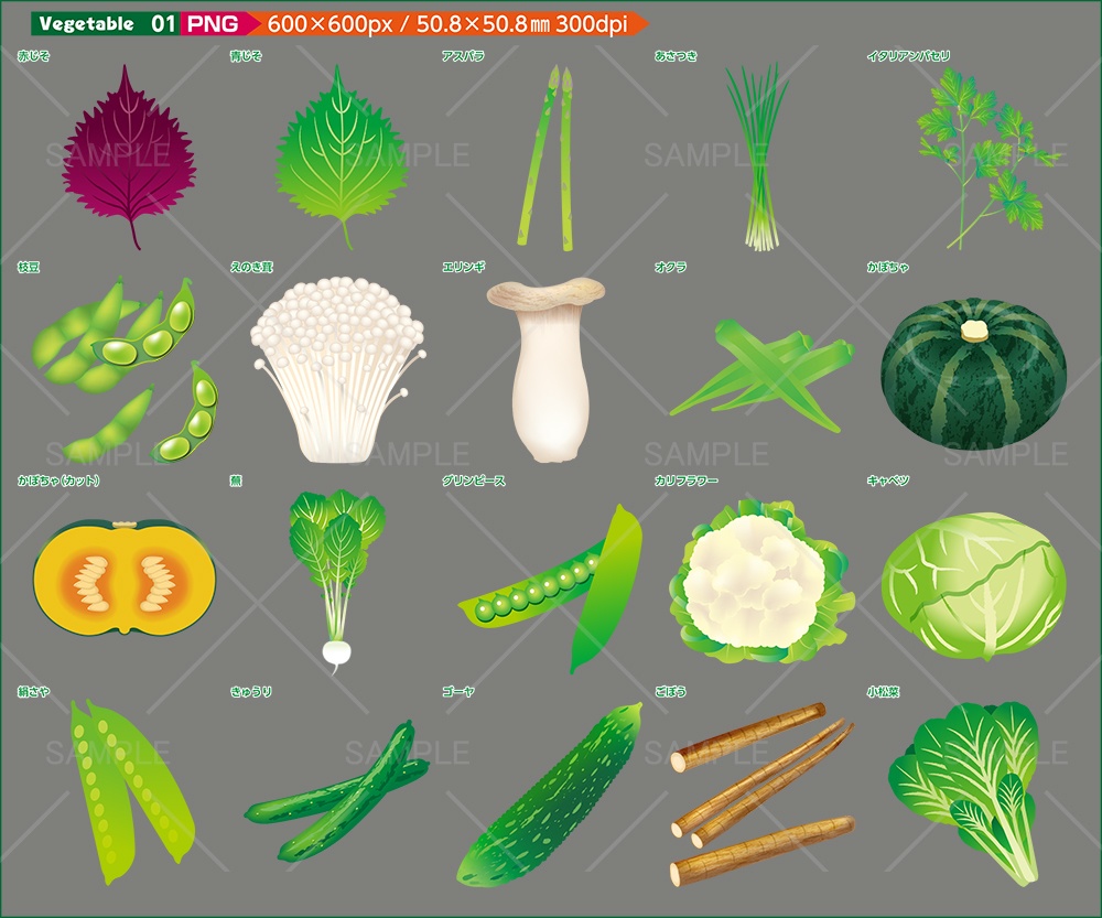 vegetableイラスト素材【JPG・PNG・Ai】メジャー野菜のイラスト