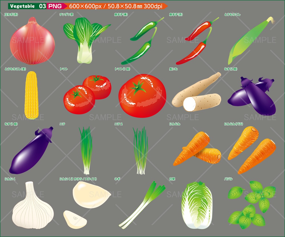 vegetableイラスト素材【JPG・PNG・Ai】メジャー野菜のイラスト