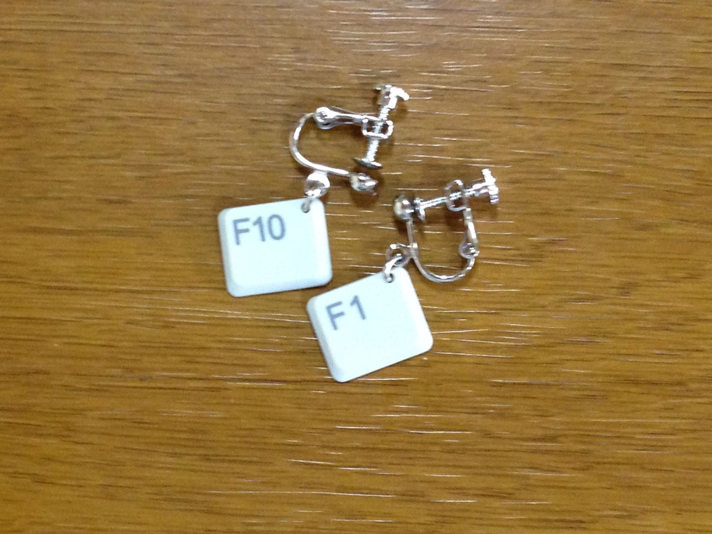イヤリング (earrings)