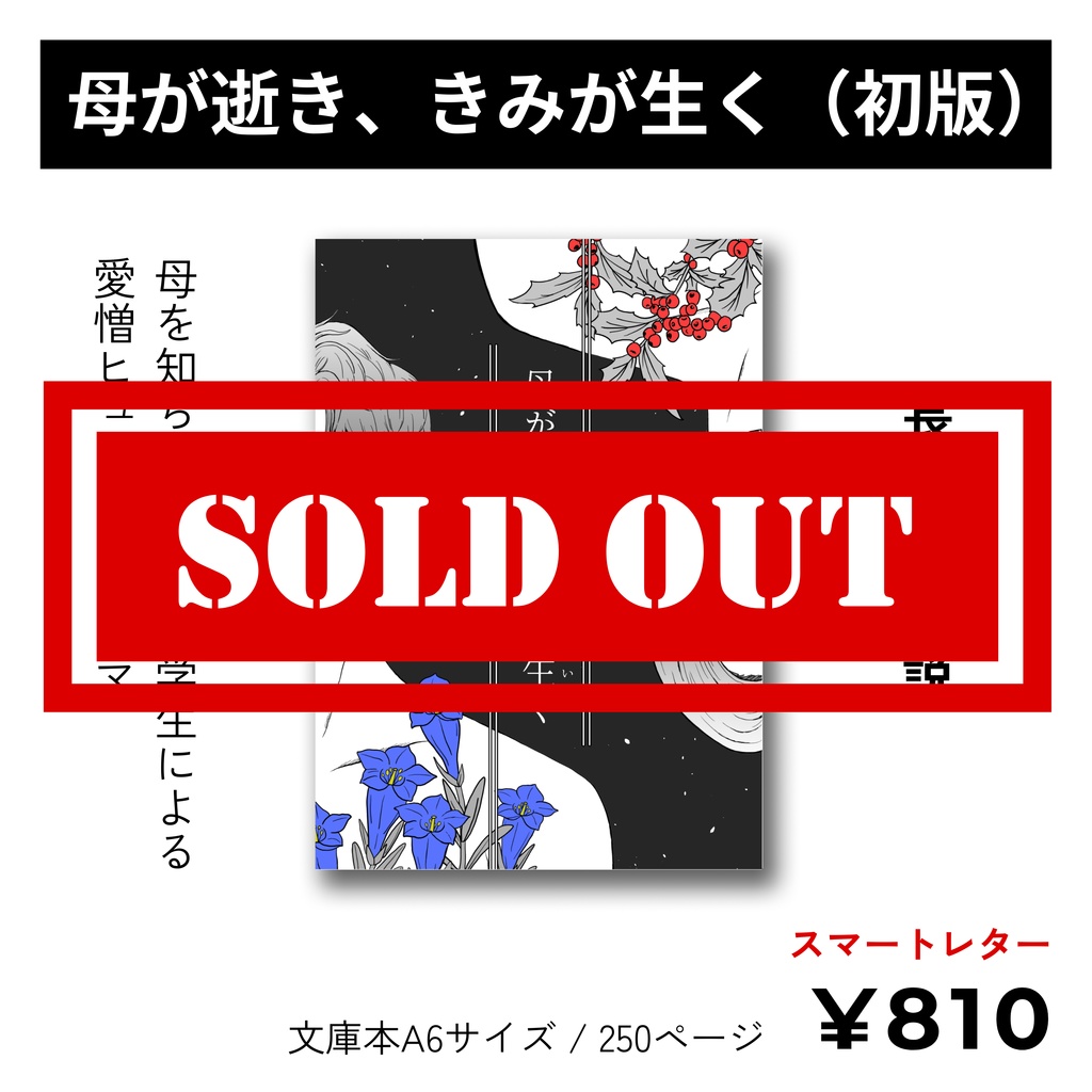 【初版】長編恋愛小説『母が逝き、きみが生く』