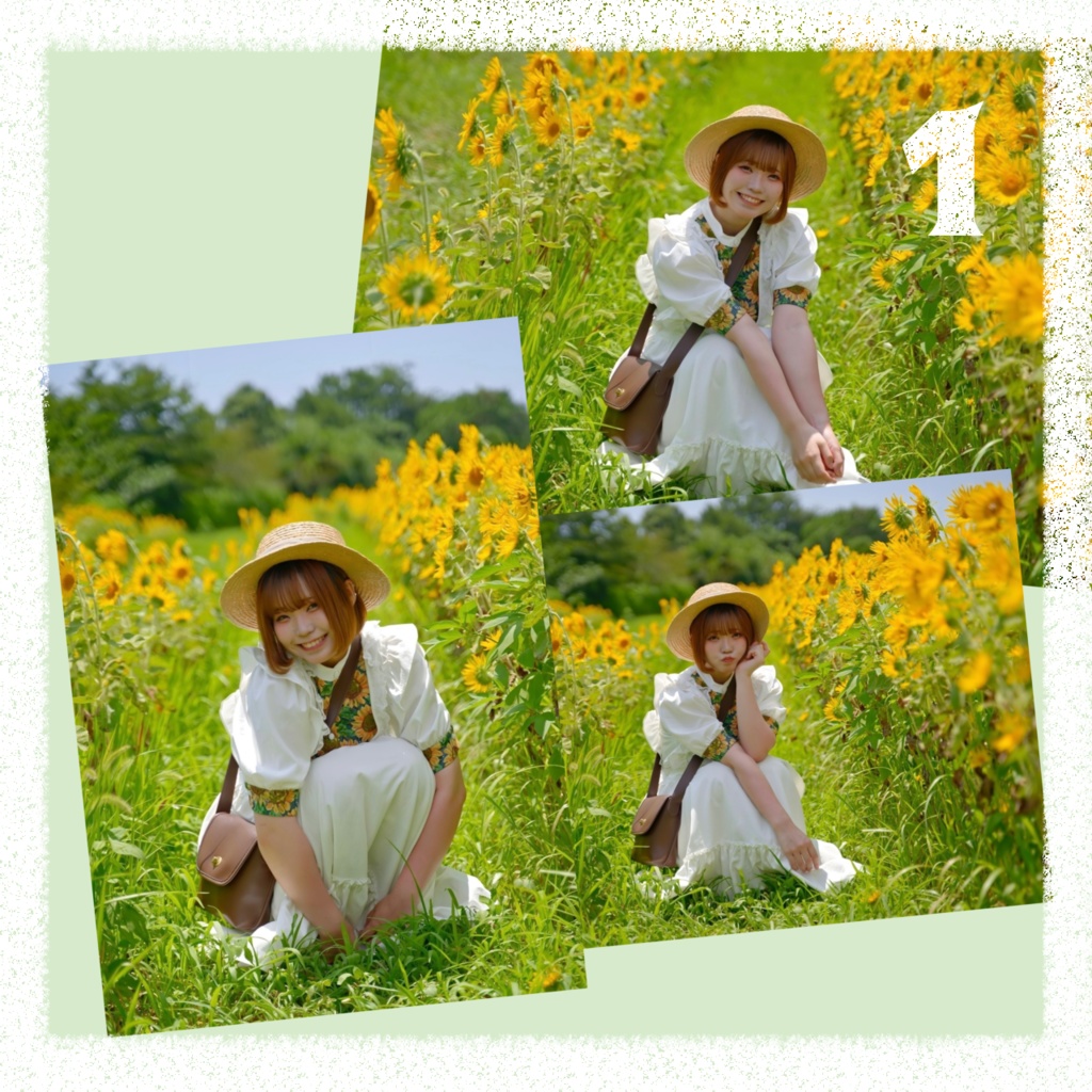 向日葵 ブロマイド -bromide-