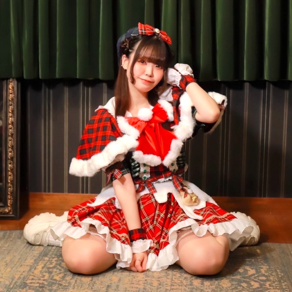 サンタ アクスタ -acrylic stand-