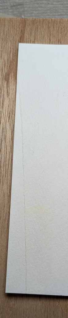 黒ヤギ(難あり)