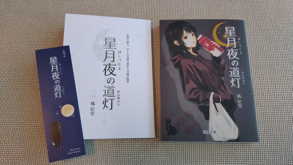 星月夜の道灯