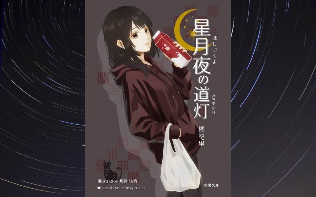 星月夜の道灯