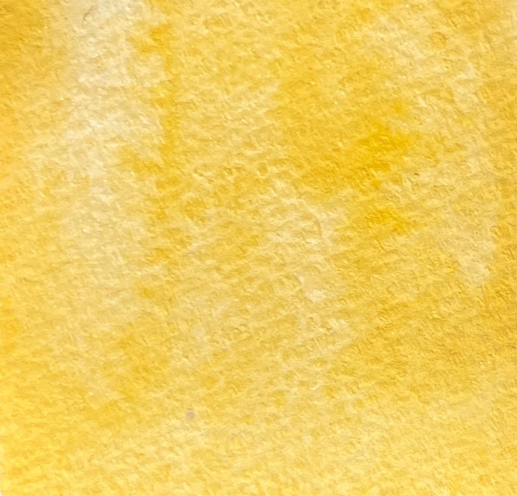 一周年記念カラー