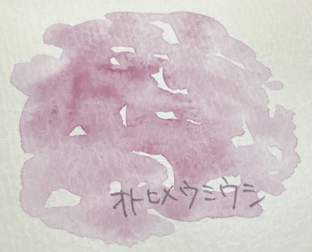 オトヒメウミウシ