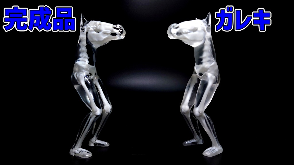 逆ケンタウロス 透明骨格標本