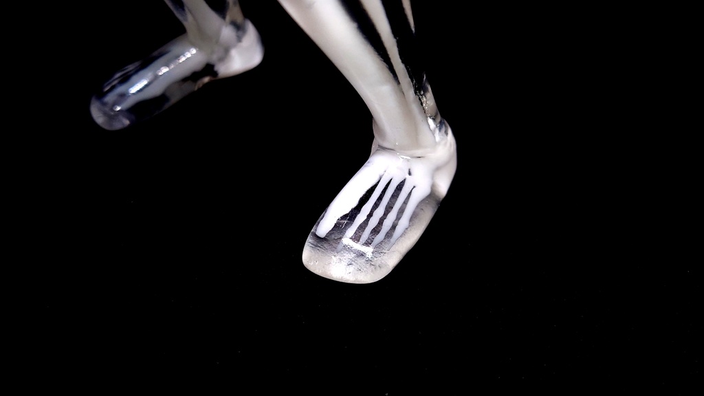 逆ケンタウロス 透明骨格標本