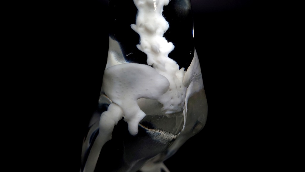 逆ケンタウロス 透明骨格標本