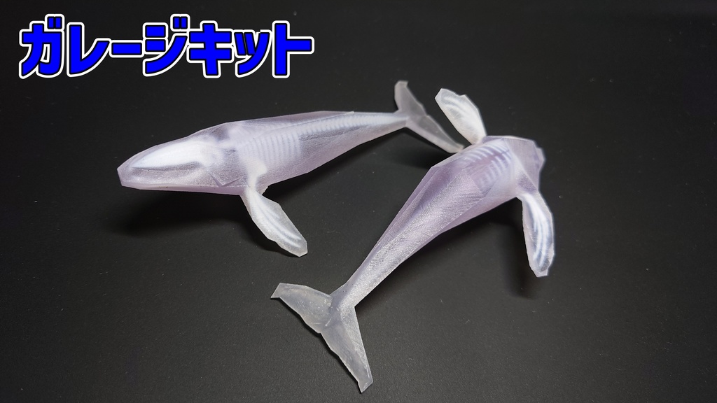 ザトウクジラ 透明骨格標本 【ワンフェス期間限定価格】