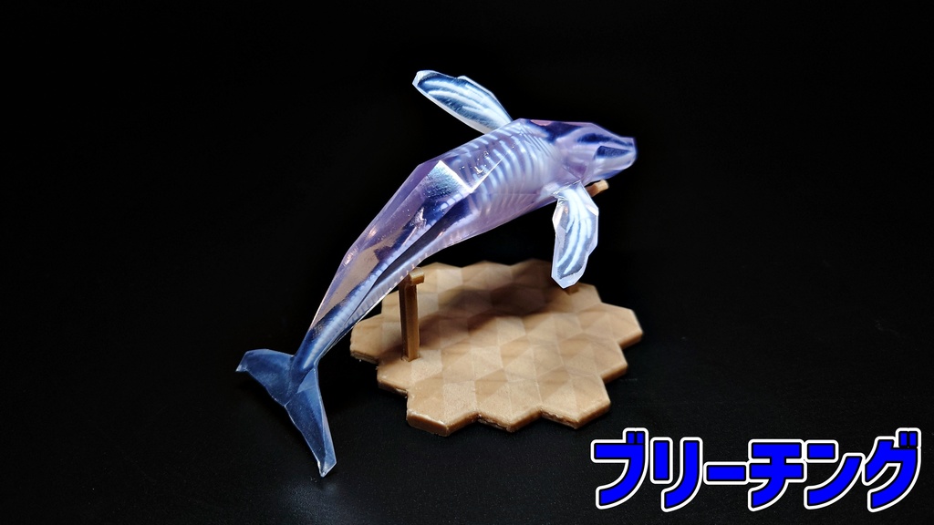 ザトウクジラ 透明骨格標本 【ワンフェス期間限定価格】