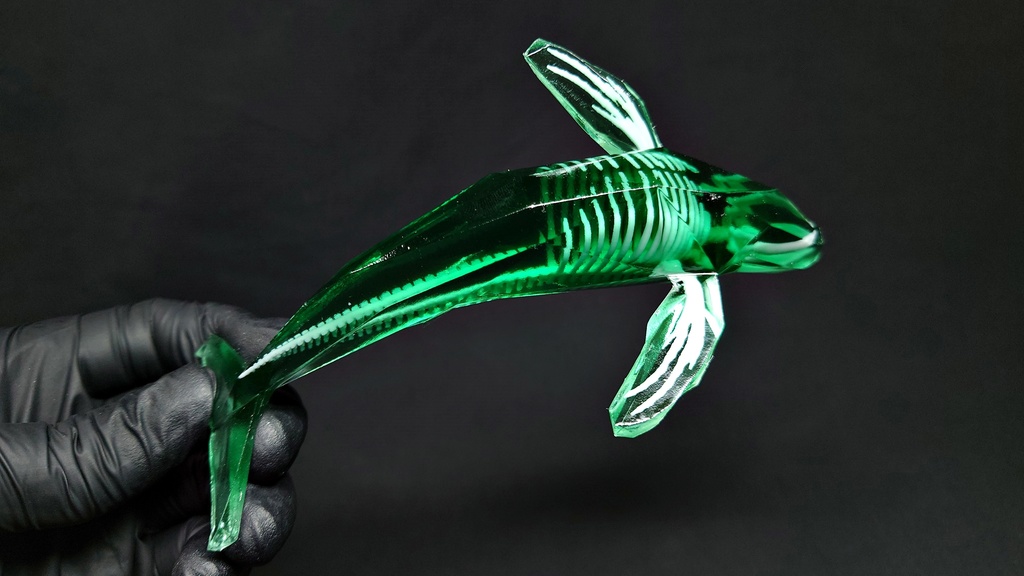 宝石鯨 飛泳 (ホウセキクジラ ヒエイ)