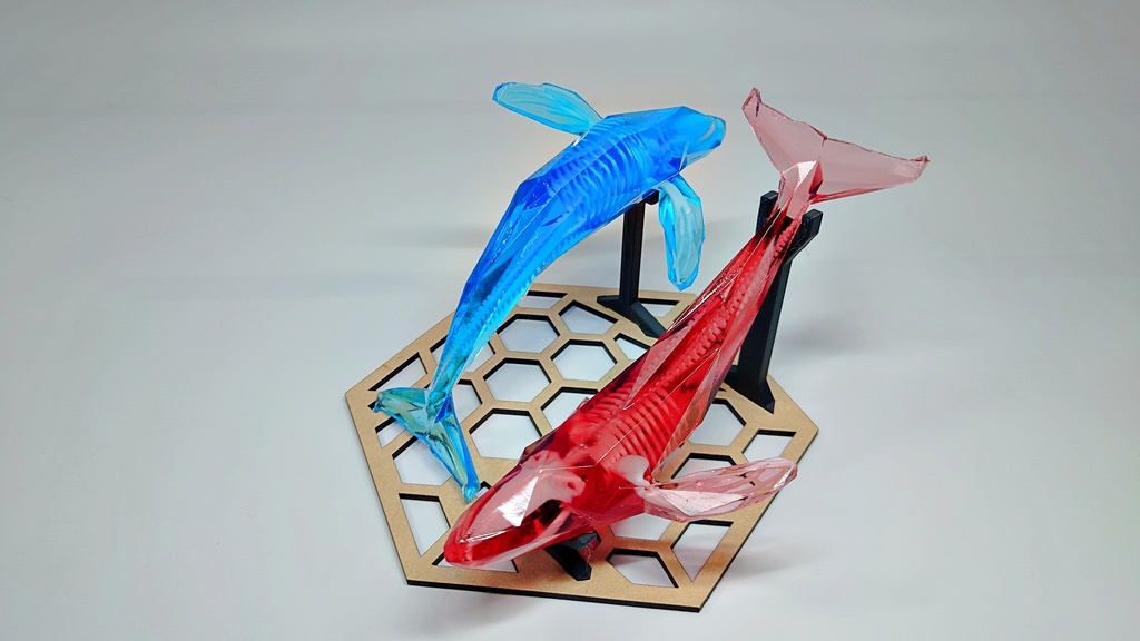 宝石鯨 飛泳 (ホウセキクジラ ヒエイ)