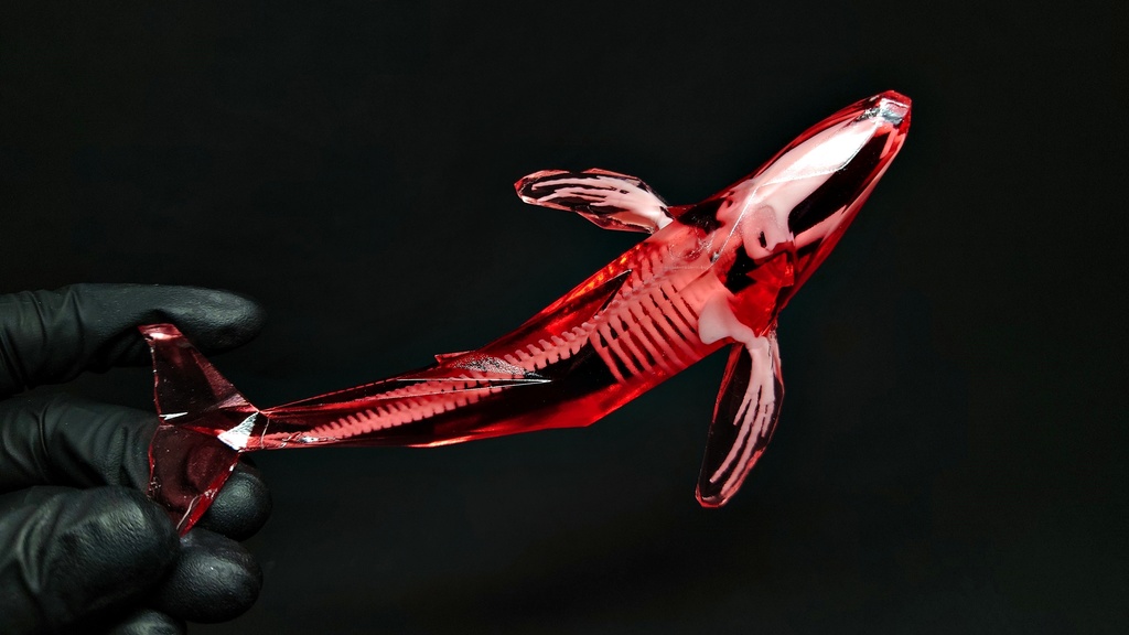 宝石鯨 飛泳 (ホウセキクジラ ヒエイ)