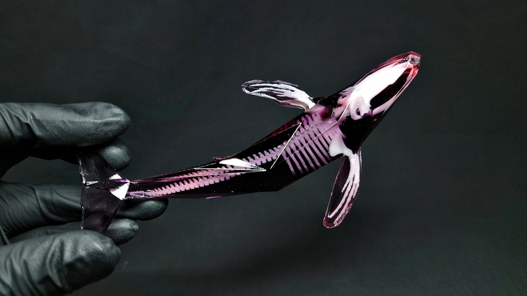 宝石鯨 飛泳 (ホウセキクジラ ヒエイ)