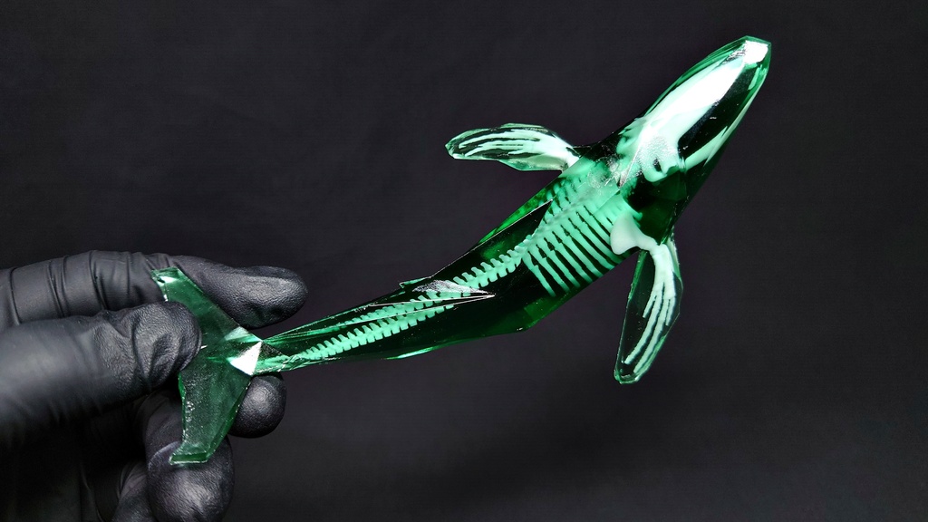 宝石鯨 飛泳 (ホウセキクジラ ヒエイ)