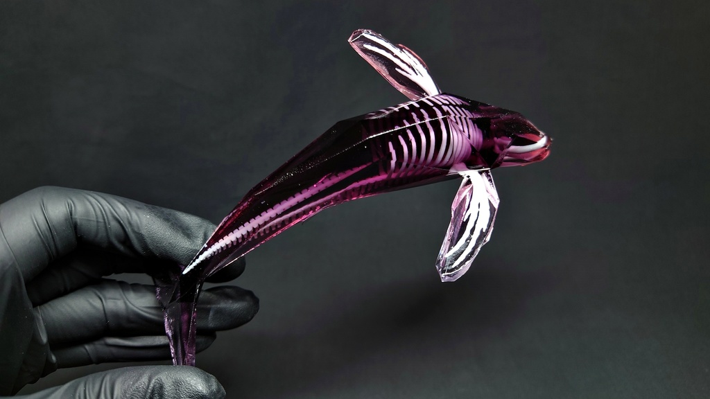 宝石鯨 飛泳 (ホウセキクジラ ヒエイ)