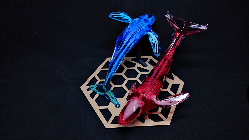 宝石鯨 飛泳 (ホウセキクジラ ヒエイ)