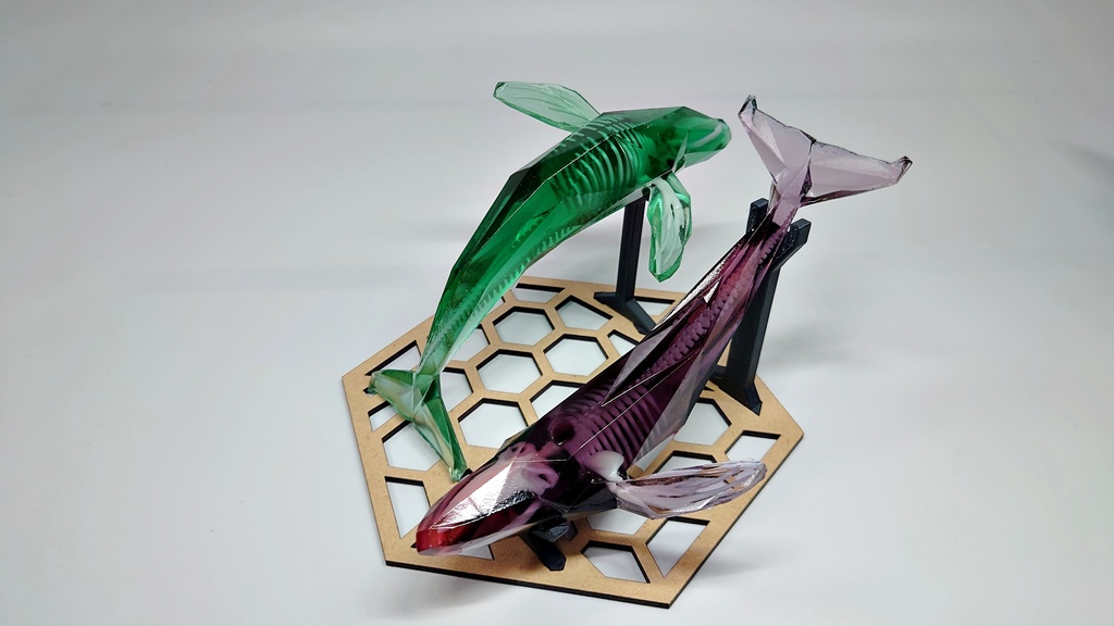 宝石鯨 飛泳 (ホウセキクジラ ヒエイ)