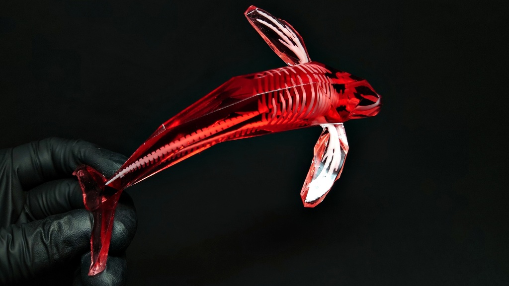 宝石鯨 飛泳 (ホウセキクジラ ヒエイ)