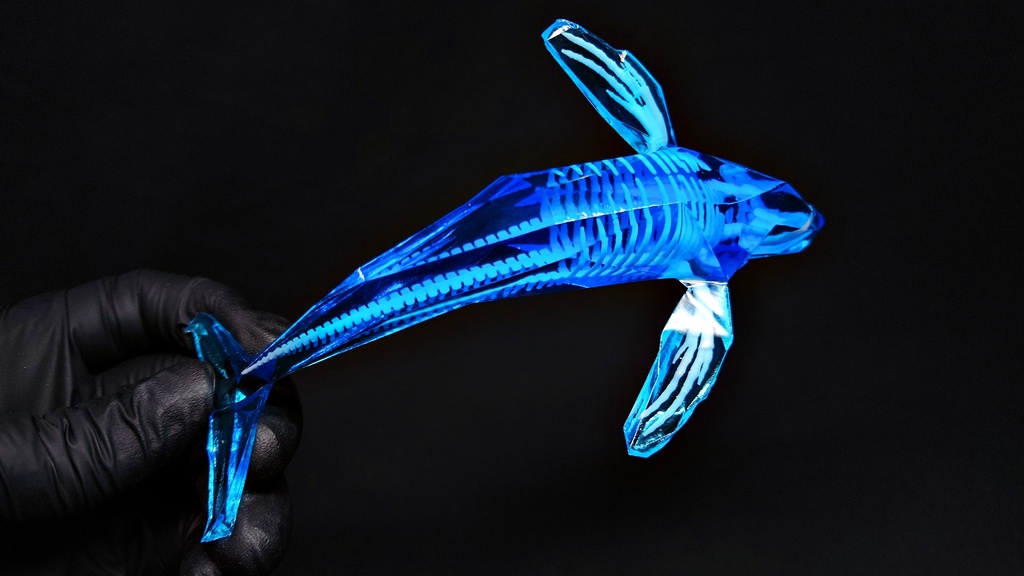 宝石鯨 飛泳 (ホウセキクジラ ヒエイ)