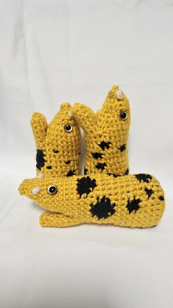 あみうつぼ(大)