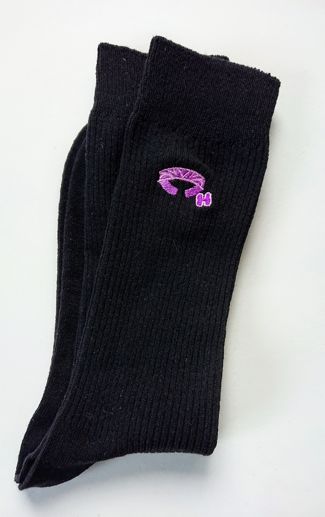 聖剣3 カジュアルソックス ホークアイ