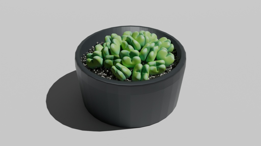 祝典の鉢植え