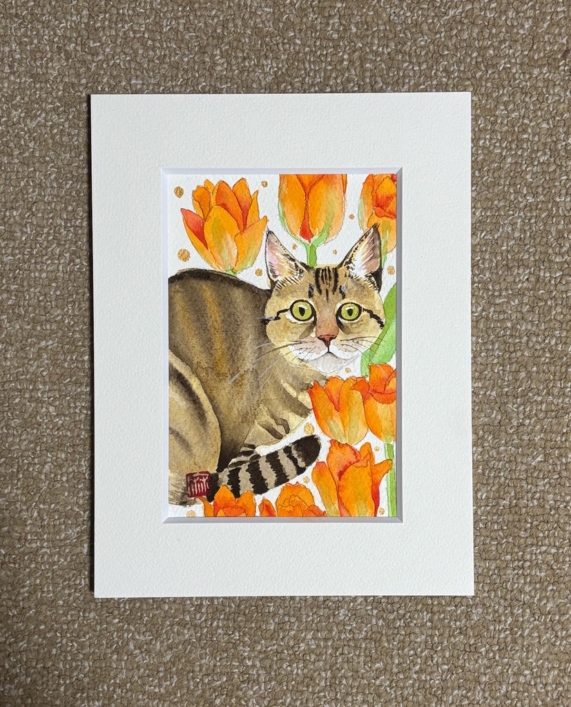 猫 チューリップ ハガキサイズ