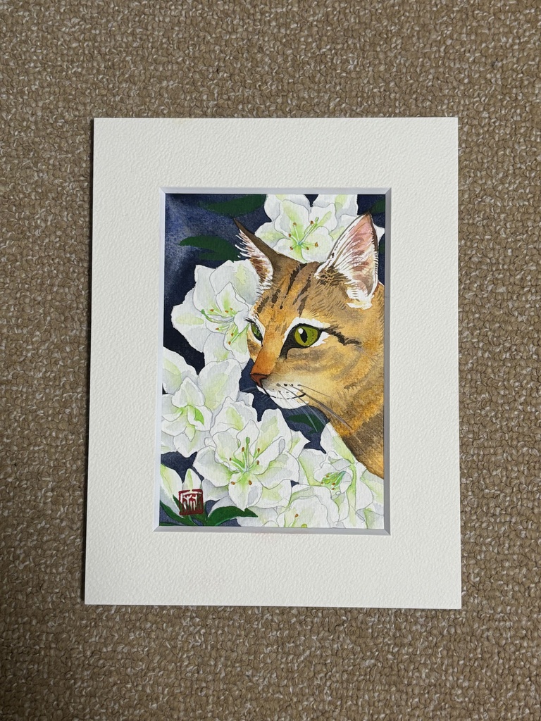 猫 クチナシ ハガキサイズ