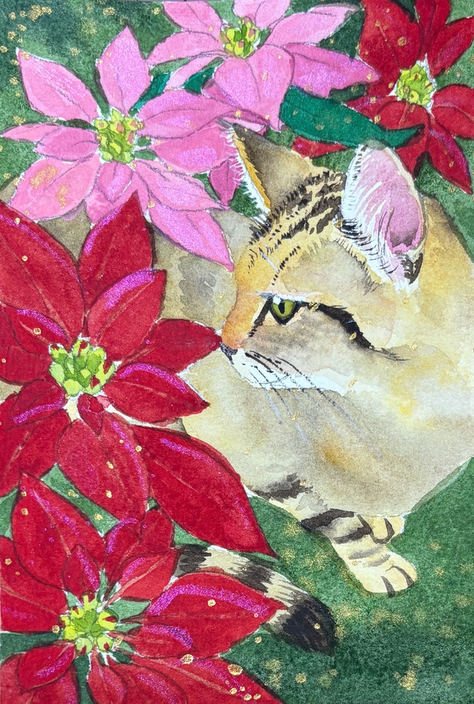 猫 ポインセチア ハガキサイズ