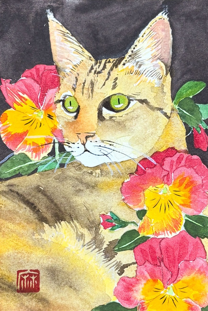 猫 パンジー ハガキサイズ
