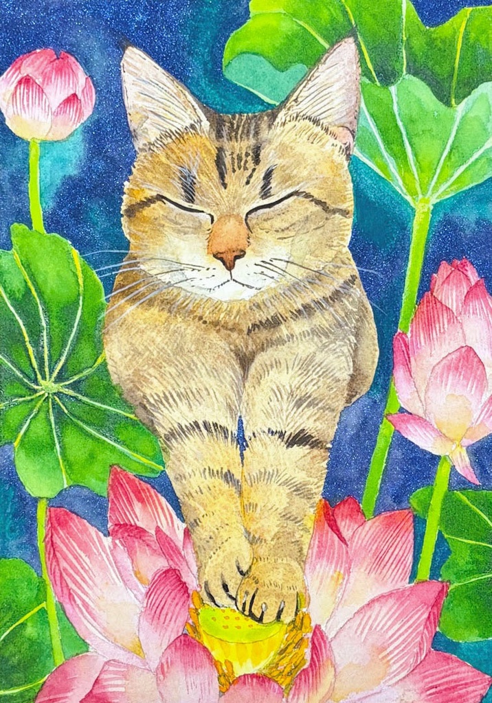 悟り SM号