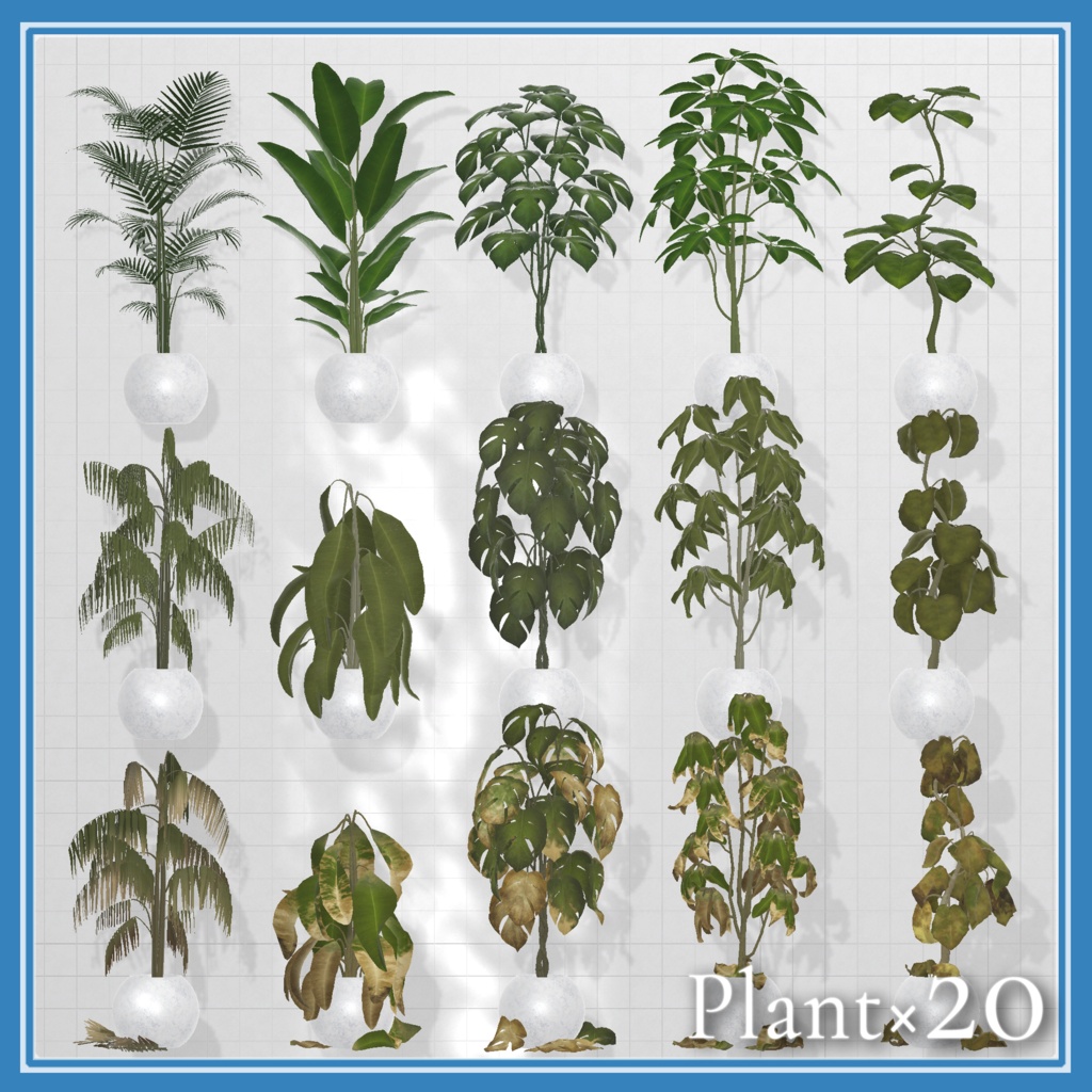 Plant×20