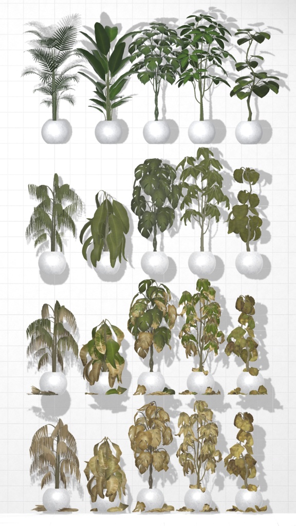 Plant×20