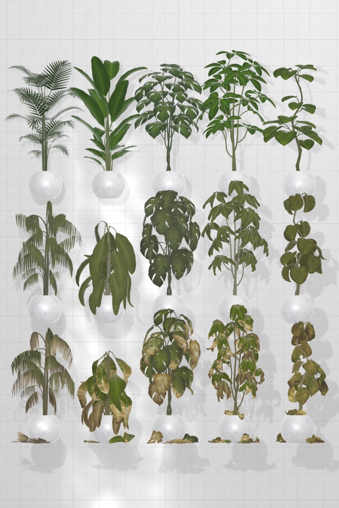 Plant×15