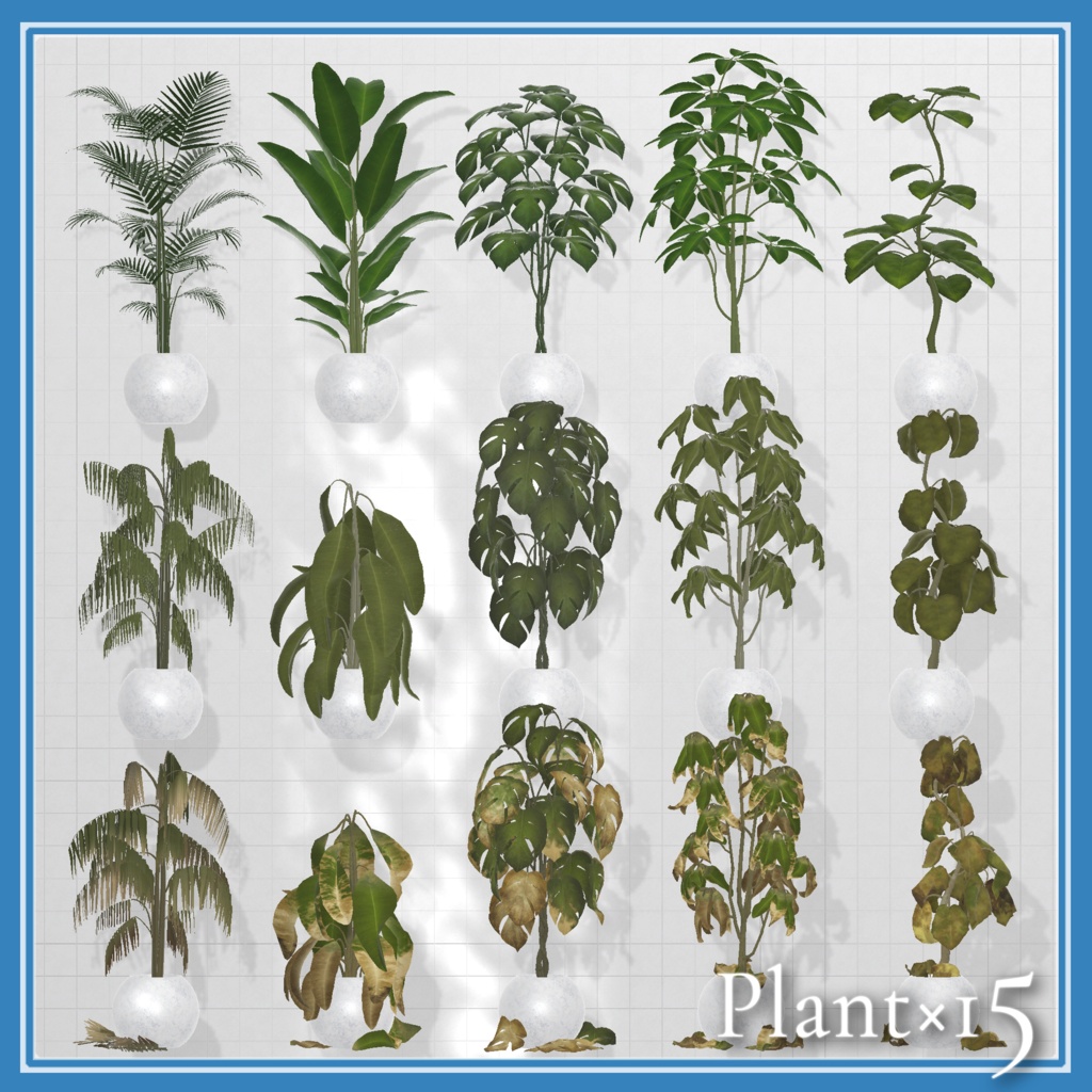 Plant×15