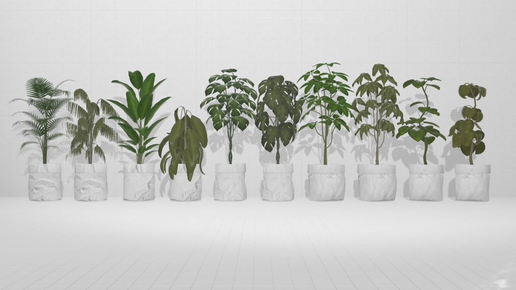 Plant×10