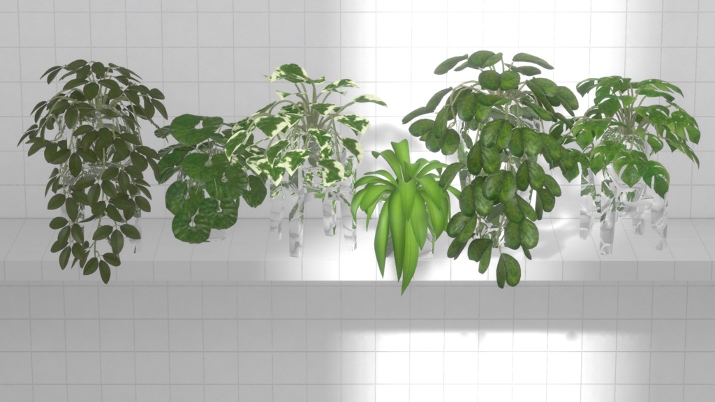 Plant×10/Pot×6/Stand×4