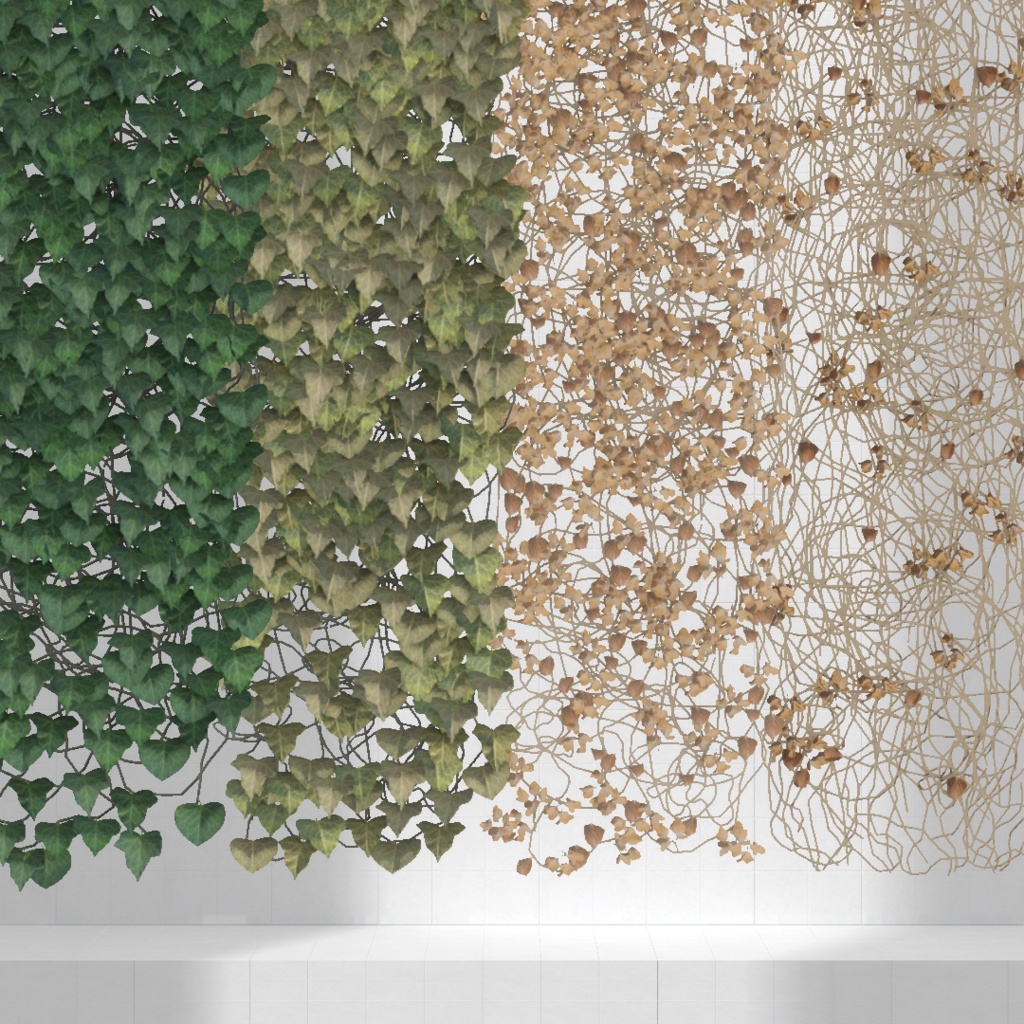 Ivy wall x4