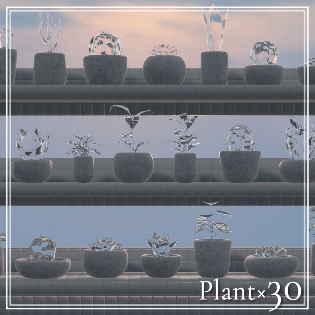 Plant×30