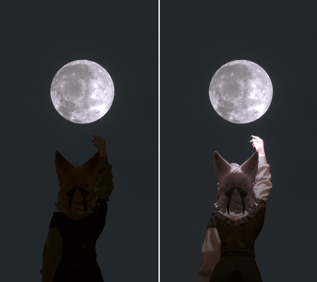 Moon/Earth Light