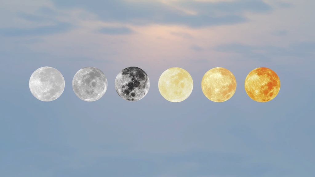 Moon Light
