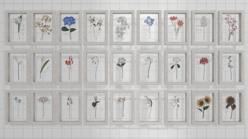 Botanical Frame