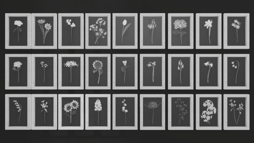 Botanical Frame