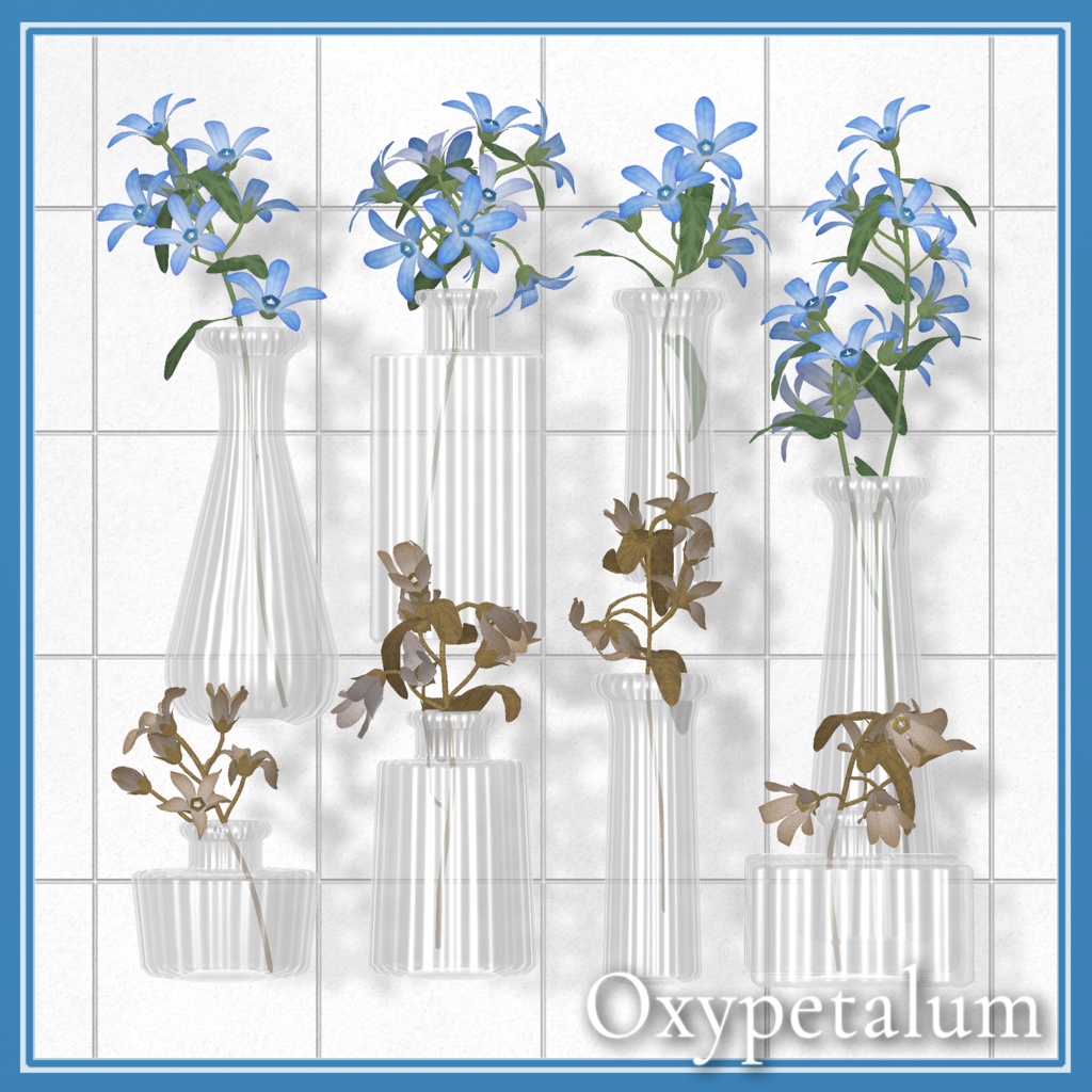 Oxypetalum