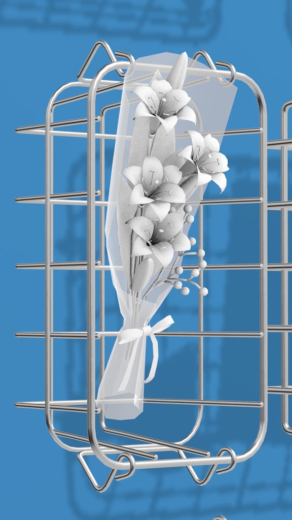 Wire Basket